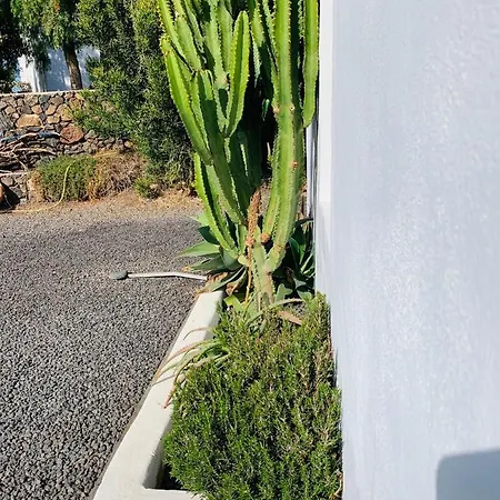 Séjour chez l'habitant Joy *