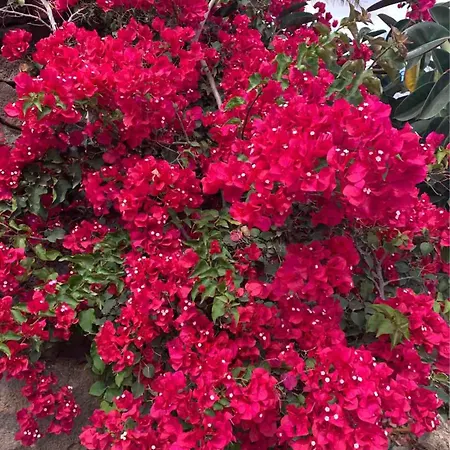 Joy Ubytování v soukromí *